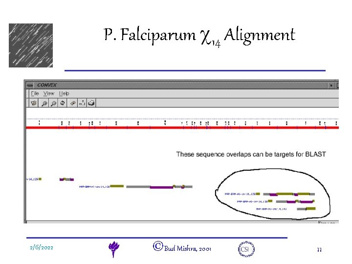 e. DNA 2/6/2022 P. Falciparum c 14 Alignment ©Bud Mishra, 2001 11 