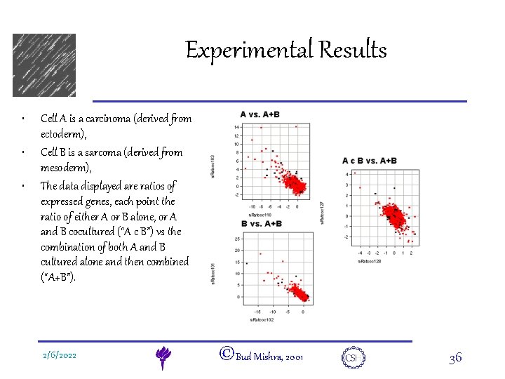 e. DNA • • • Experimental Results Cell A is a carcinoma (derived from