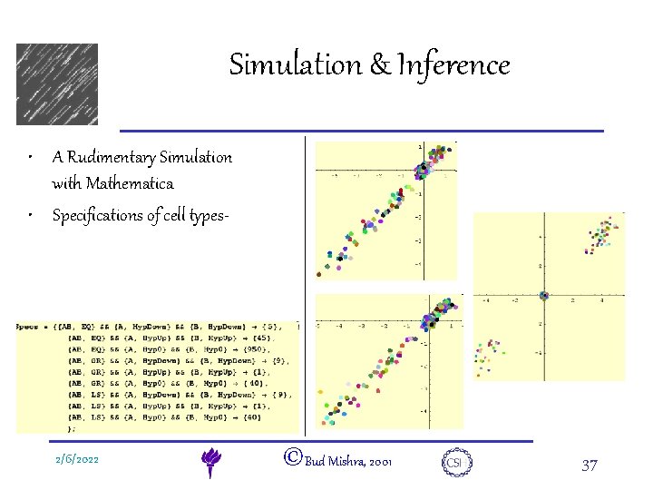 e. DNA Simulation & Inference • A Rudimentary Simulation with Mathematica • Specifications of