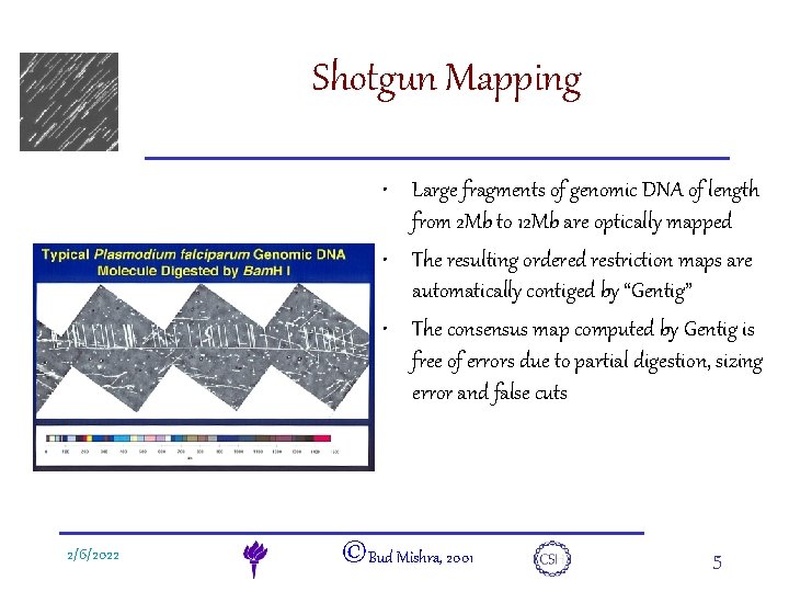 e. DNA Shotgun Mapping • Large fragments of genomic DNA of length from 2