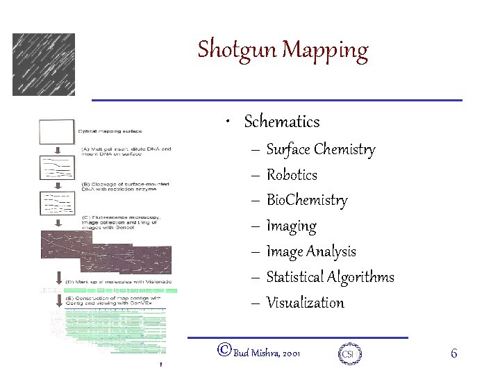 e. DNA Shotgun Mapping • Schematics – Surface Chemistry – Robotics – Bio. Chemistry