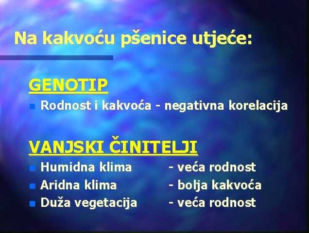 Na kakvoću pšenice utjeće: GENOTIP Rodnost i kakvoća - negativna korelacija VANJSKI ČINITELJI Humidna