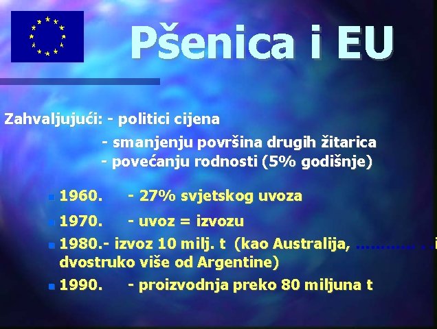 Pšenica i EU Zahvaljujući: - politici cijena - smanjenju površina drugih žitarica - povećanju