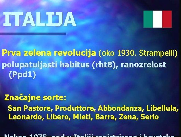 ITALIJA Prva zelena revolucija (oko 1930. Strampelli) polupatuljasti habitus (rht 8), ranozrelost (Ppd 1)