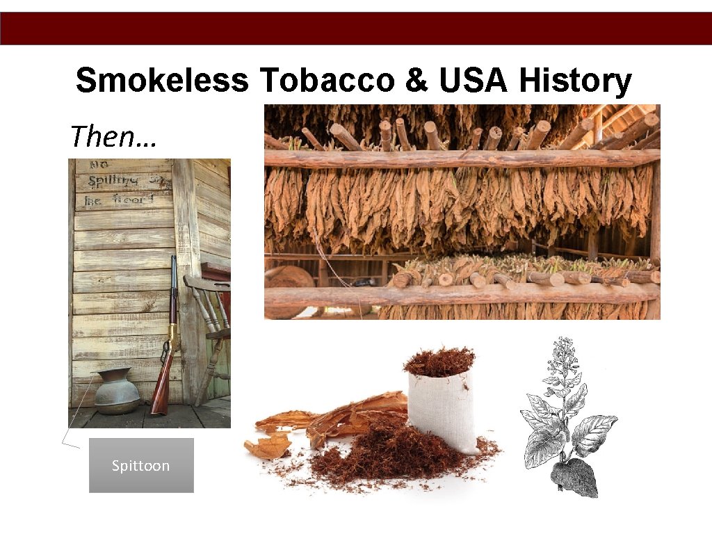 Smokeless Tobacco & USA History Then… Spittoon 