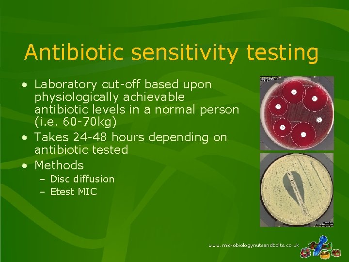 Antibiotic sensitivity testing • Laboratory cut-off based upon physiologically achievable antibiotic levels in a