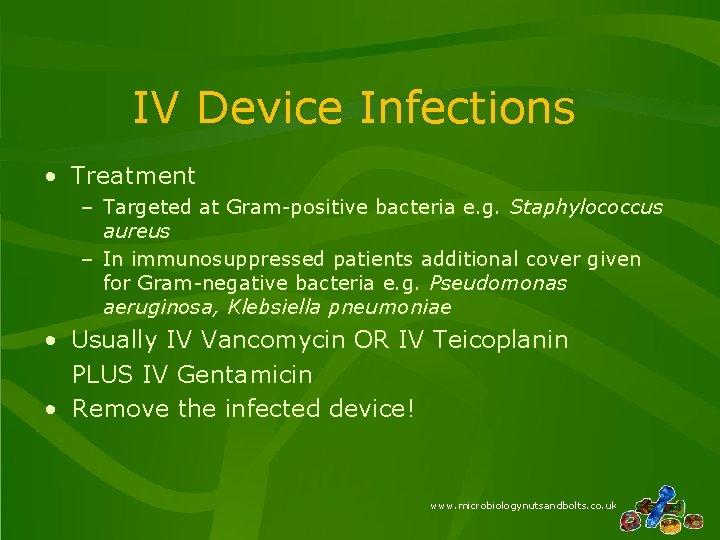 IV Device Infections • Treatment – Targeted at Gram-positive bacteria e. g. Staphylococcus aureus