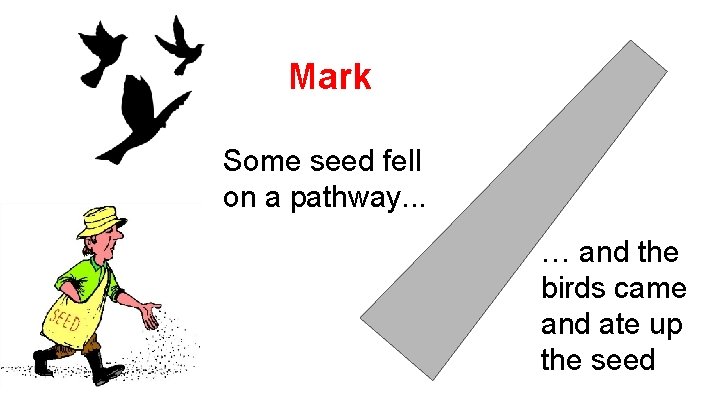 Mark Some seed fell on a pathway. . . … and the birds came