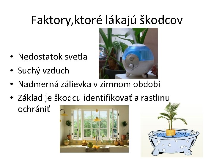 Faktory, ktoré lákajú škodcov • • Nedostatok svetla Suchý vzduch Nadmerná zálievka v zimnom