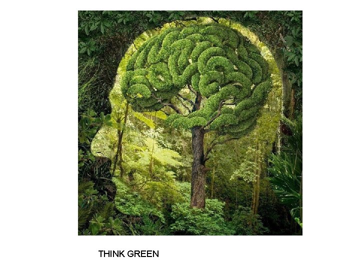 THINK GREEN 