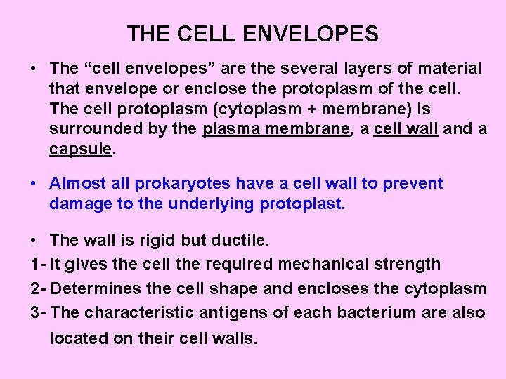 THE CELL ENVELOPES • The “cell envelopes” are the several layers of material that