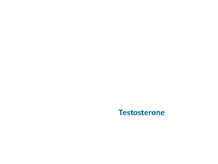 Testosterone 