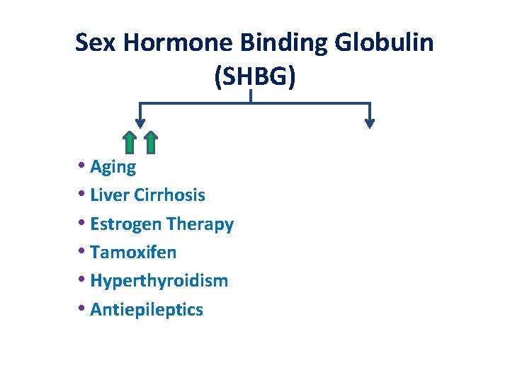 Sex Hormone Binding Globulin (SHBG) • Aging • Liver Cirrhosis • Estrogen Therapy •