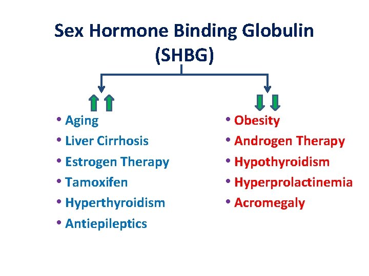 Sex Hormone Binding Globulin (SHBG) • Aging • Liver Cirrhosis • Estrogen Therapy •