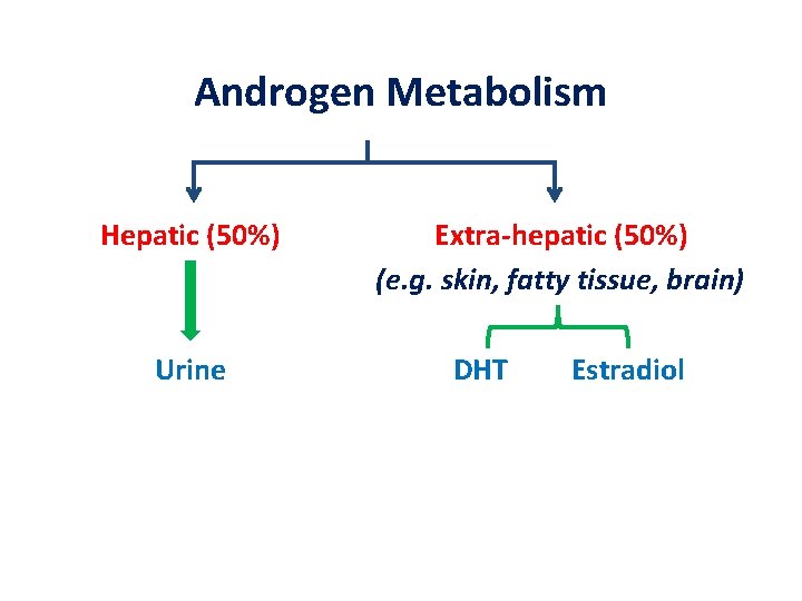 Androgen Metabolism Hepatic (50%) Urine Extra-hepatic (50%) (e. g. skin, fatty tissue, brain) DHT