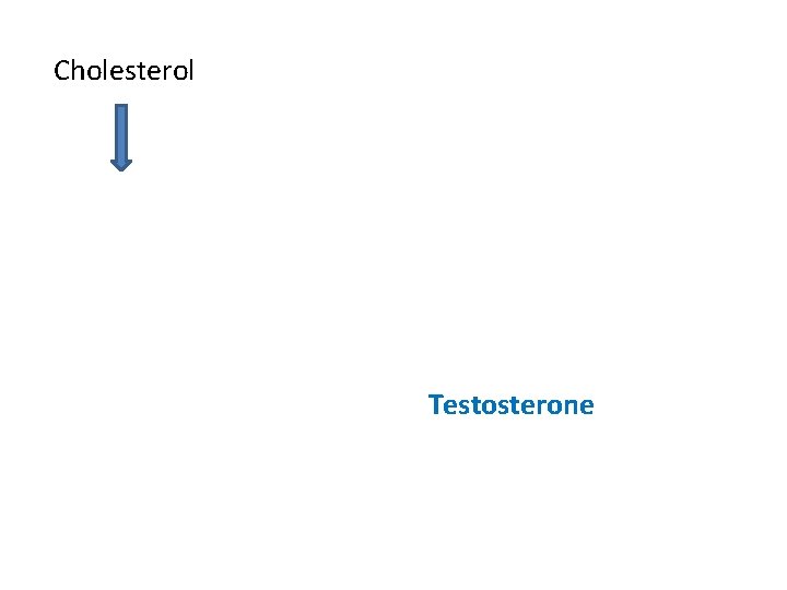 Cholesterol Testosterone 