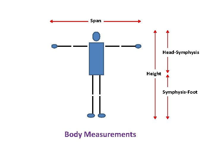 Span Head-Symphysis Height Symphysis-Foot Body Measurements 