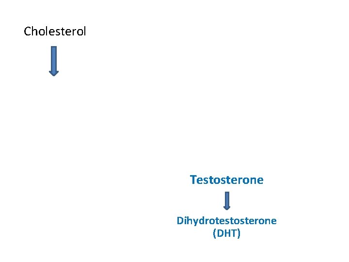 Cholesterol Testosterone Dihydrotestosterone (DHT) 