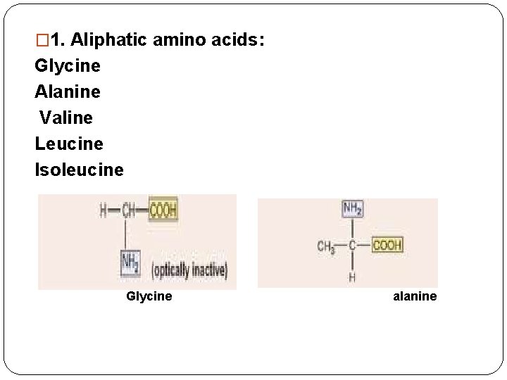 � 1. Aliphatic amino acids: Glycine Alanine Valine Leucine Isoleucine Glycine alanine 