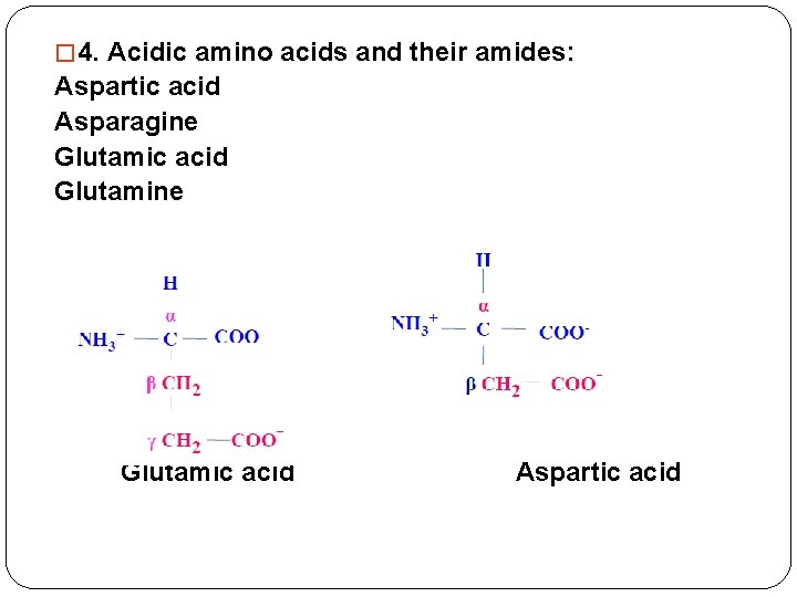 � 4. Acidic amino acids and their amides: Aspartic acid Asparagine Glutamic acid Glutamine
