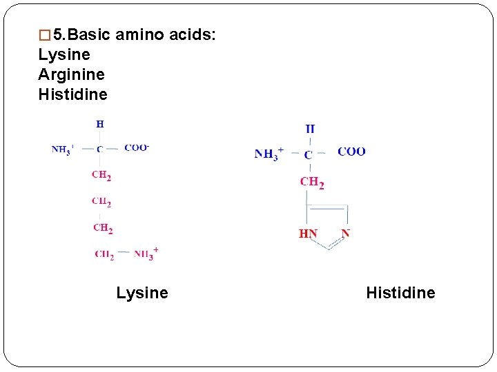 � 5. Basic amino acids: Lysine Arginine Histidine Lysine Histidine 
