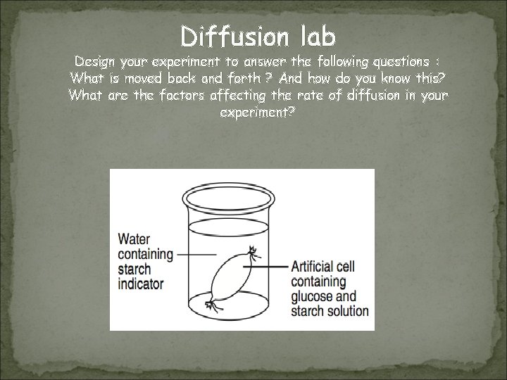 Diffusion lab Design your experiment to answer the following questions : What is moved
