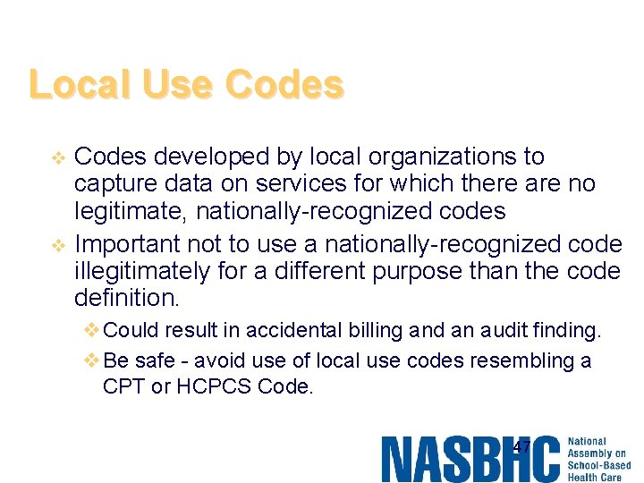 Local Use Codes developed by local organizations to capture data on services for which