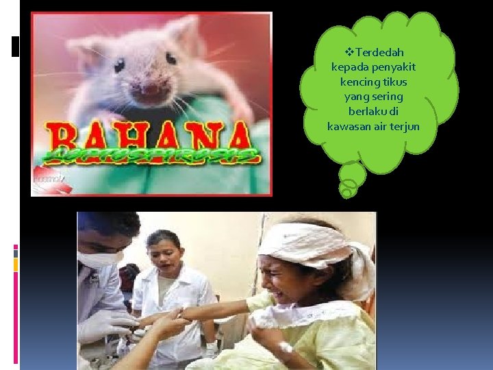 v. Terdedah kepada penyakit kencing tikus yang sering berlaku di kawasan air terjun 