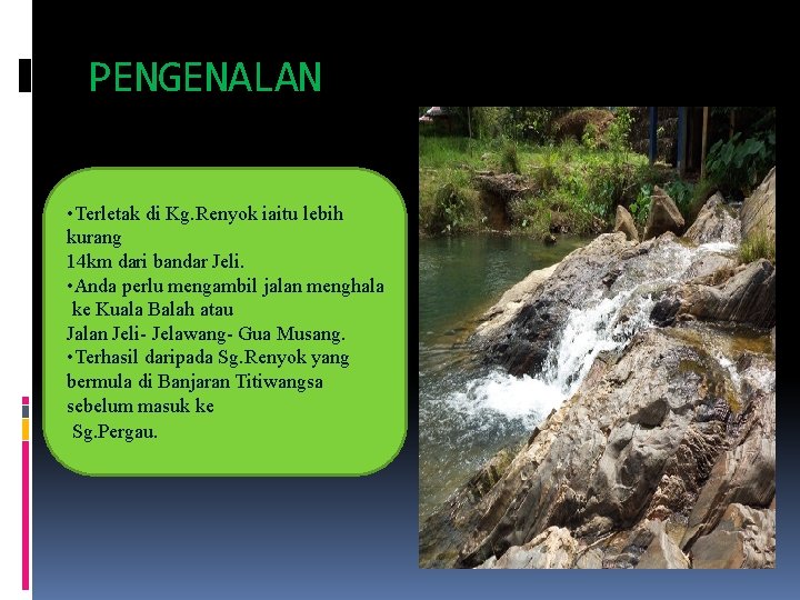 PENGENALAN • Terletak di Kg. Renyok iaitu lebih kurang 14 km dari bandar Jeli.