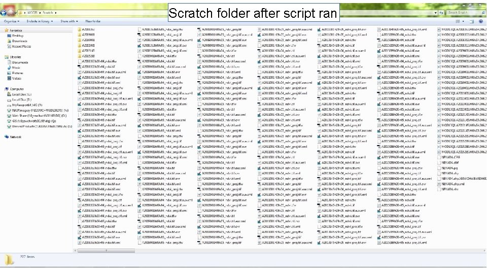 Scratch folder after script ran 