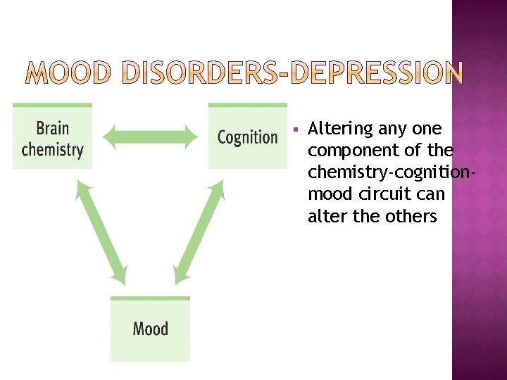 § Altering any one component of the chemistry-cognitionmood circuit can alter the others 
