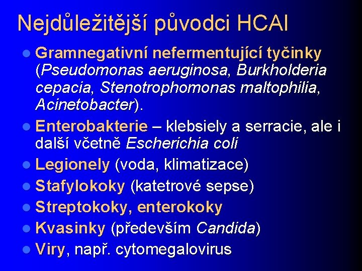 Nejdůležitější původci HCAI l Gramnegativní nefermentující tyčinky (Pseudomonas aeruginosa, Burkholderia cepacia, Stenotrophomonas maltophilia, Acinetobacter).