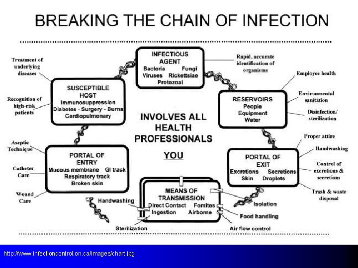 http: //www. infectioncontrol. on. ca/images/chart. jpg 