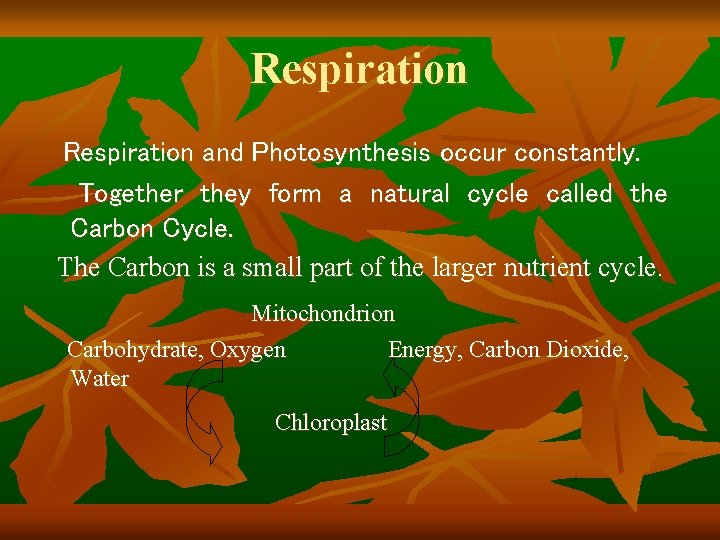 Respiration and Photosynthesis occur constantly. Together they form a natural cycle called the Carbon