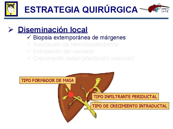 ESTRATEGIA QUIRÚRGICA HPBTx LA FE Ø Diseminación local ü ü Biopsia extemporánea de márgenes