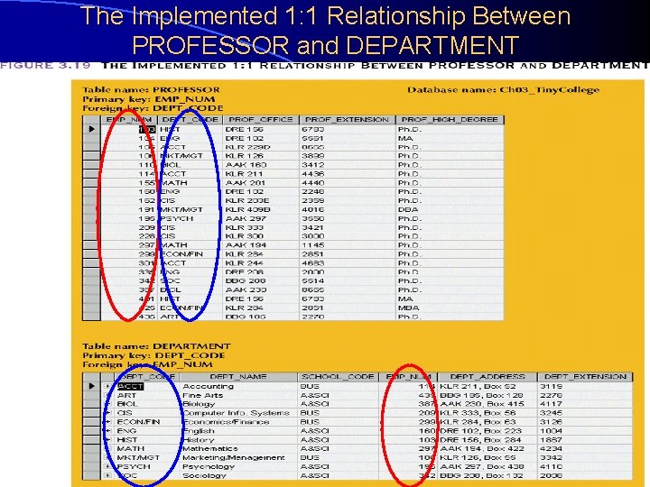 The Implemented 1: 1 Relationship Between PROFESSOR and DEPARTMENT 