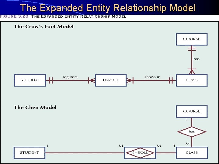 The Expanded Entity Relationship Model 