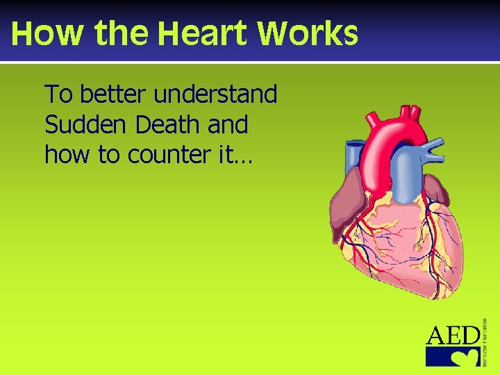 How the Heart Works To better understand Sudden Death and how to counter it…