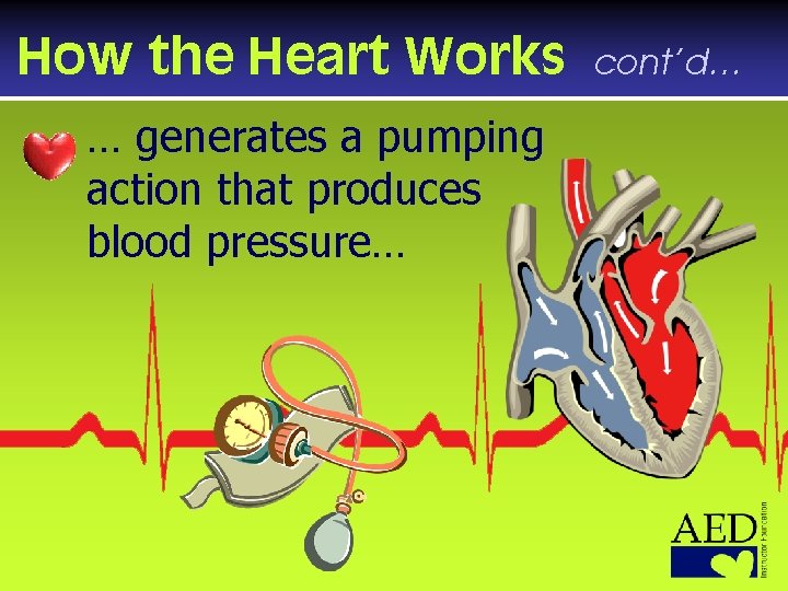 How the Heart Works … generates a pumping action that produces blood pressure… cont’d…