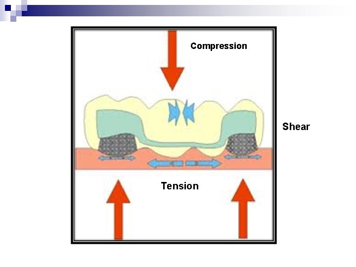 Compression Shear Tension 