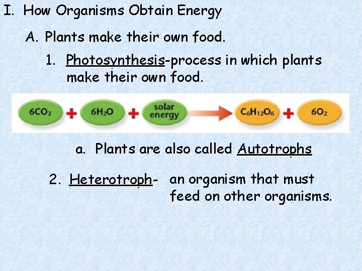 I. How Organisms Obtain Energy A. Plants make their own food. 1. Photosynthesis-process in