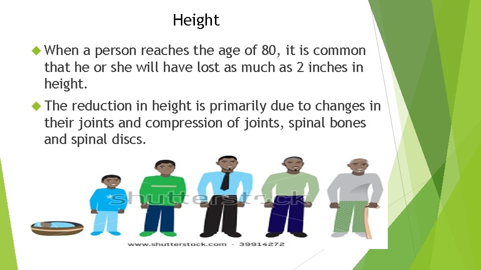 Height When a person reaches the age of 80, it is common that he