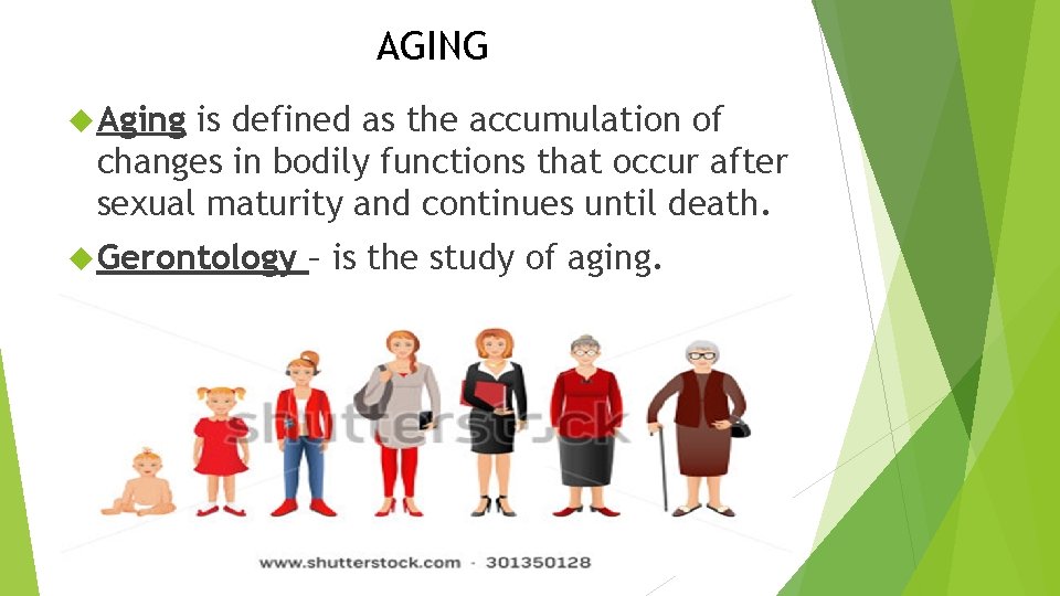 AGING Aging is defined as the accumulation of changes in bodily functions that occur