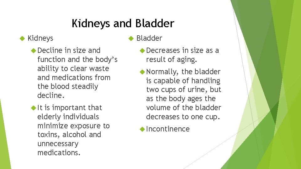 Kidneys and Bladder Kidneys Decline in size and function and the body’s ability to