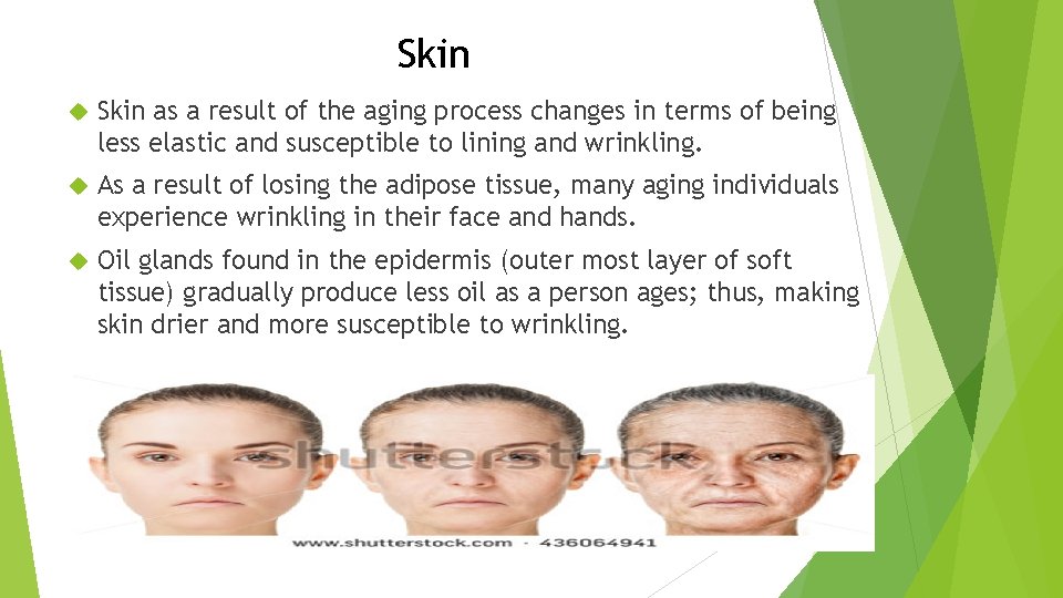 Skin as a result of the aging process changes in terms of being less