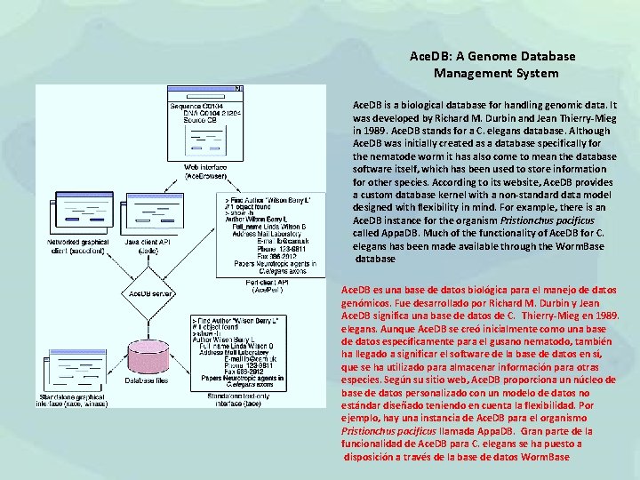 Ace. DB: A Genome Database Management System Ace. DB is a biological database for