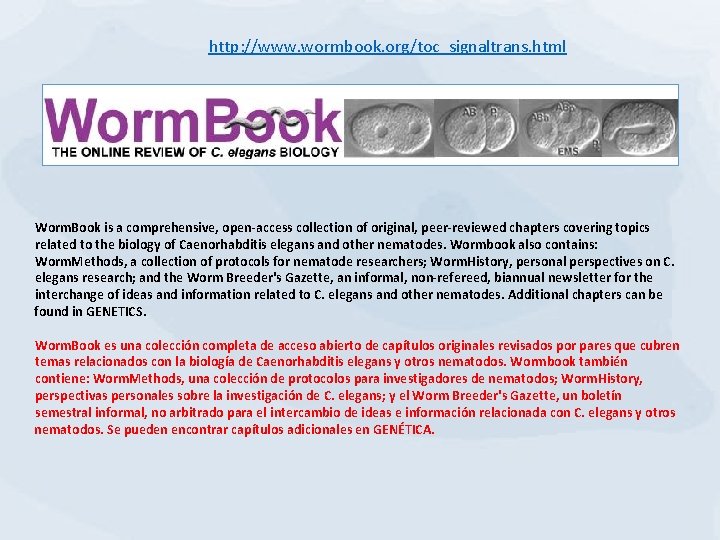 http: //www. wormbook. org/toc_signaltrans. html Worm. Book is a comprehensive, open-access collection of original,