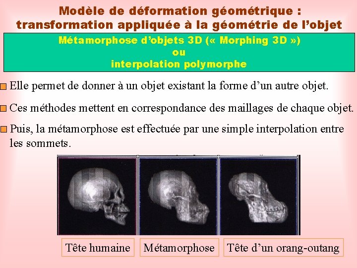 Modèle de déformation géométrique : transformation appliquée à la géométrie de l’objet Métamorphose d’objets