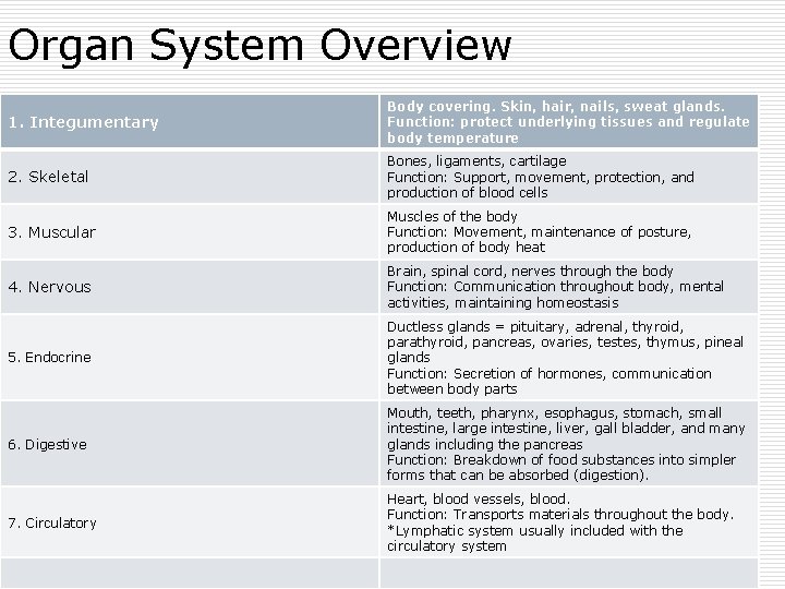 Organ System Overview 1. Integumentary Body covering. Skin, hair, nails, sweat glands. Function: protect