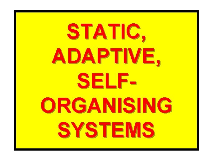STATIC, ADAPTIVE, SELFORGANISING SYSTEMS 